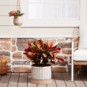 6/12inch Nested Planters Flower Pot For Indoor Plants, 2-Pack